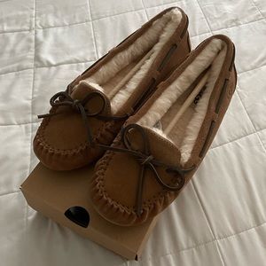 UGG dakota brown slippers, women’s size 7, NEVER WORN, with box, BRAND NEW